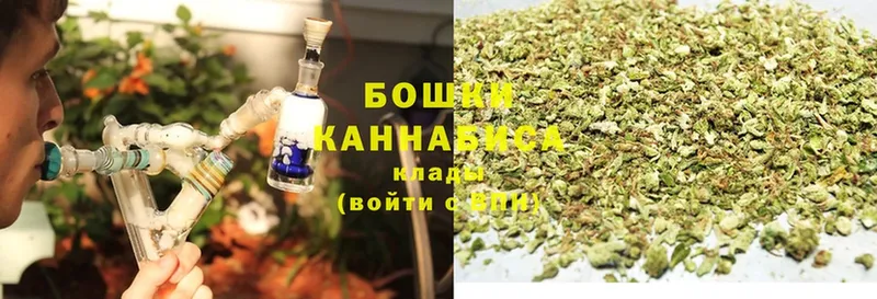 Шишки марихуана индика  Канаш 